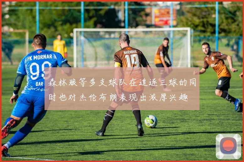 森林狼等多支球队在追逐三球的同时也对杰伦布朗表现出浓厚兴趣
