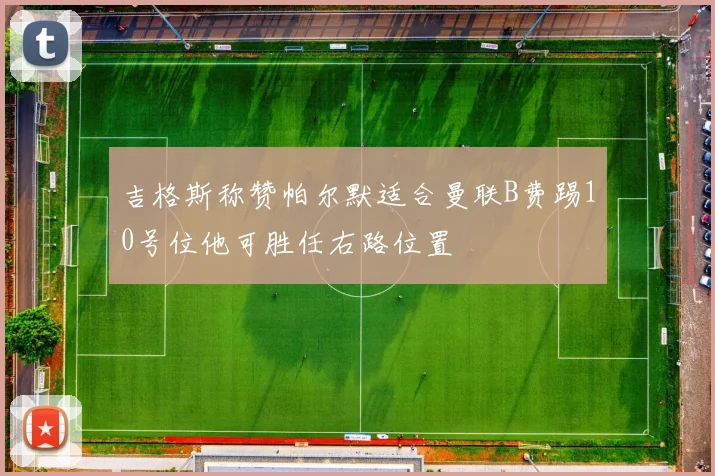 吉格斯称赞帕尔默适合曼联B费踢10号位他可胜任右路位置